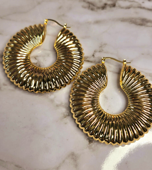"Shell" :Gold Earrings